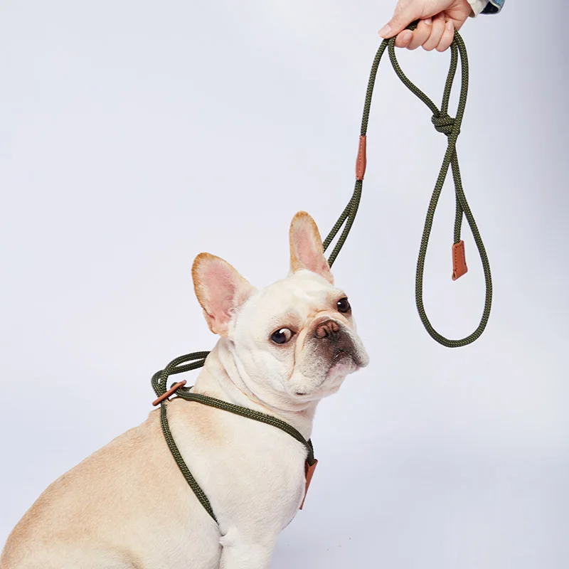 犬のお散歩グッズをコスパ良く揃える方法｜調整可能なハーネスリードで安全と自由を実現