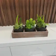 リアルな多肉植物の木製ボックス飾り【デスクトップ用・インテリア装飾・癒しのグリーン】（セットアップ対応）