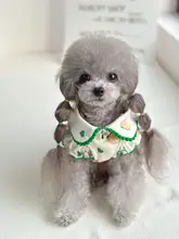 ペット用衣類 猫・犬用 ふわふわ小熊襟付きサロペットドレス【秋冬・クリスマス・新年用】