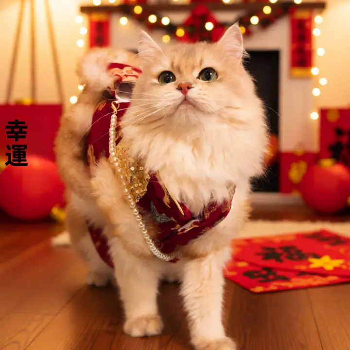 小猫用冬服【暖かい・お正月用・ノルウェージャンフォレストキャット・デな猫】（セットアップ対応）