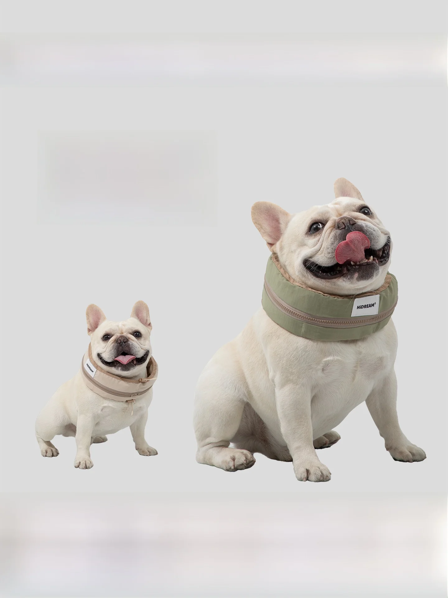 夏の外出で犬が熱中症になるのを防ぐには、どんな「あったかグッズ」がおすすめ？