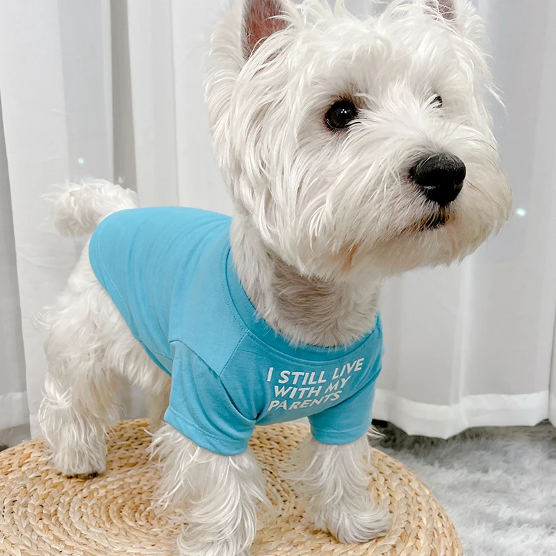 犬猫用春秋ファッションペットウェア：防毛・軽やかデザインの実用性と選び方