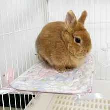 ペット用ハンギングアイアンプラットフォーム【ウサギ・モルモット用・内蔵アイアンネットボード】