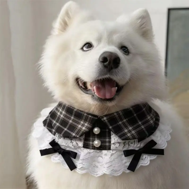 犬のマナーベルトとは？5選で実際の使い勝手と選び方を徹底解説