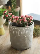 多肉植物鉢 高級 植物 セメント色 アフリカ要素