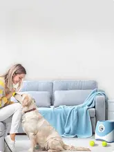 自動投球機 ペット 犬 娯楽 ボール玩具