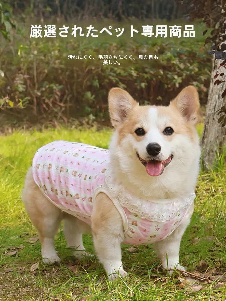 夏の犬服で悩むなら、このプリンセスドレスが救う理由は？