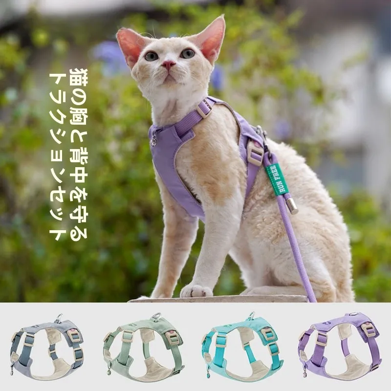 犬のお散歩グッズをコスパ良く揃える方法｜中型犬向け自宅用リードの実測ガイド