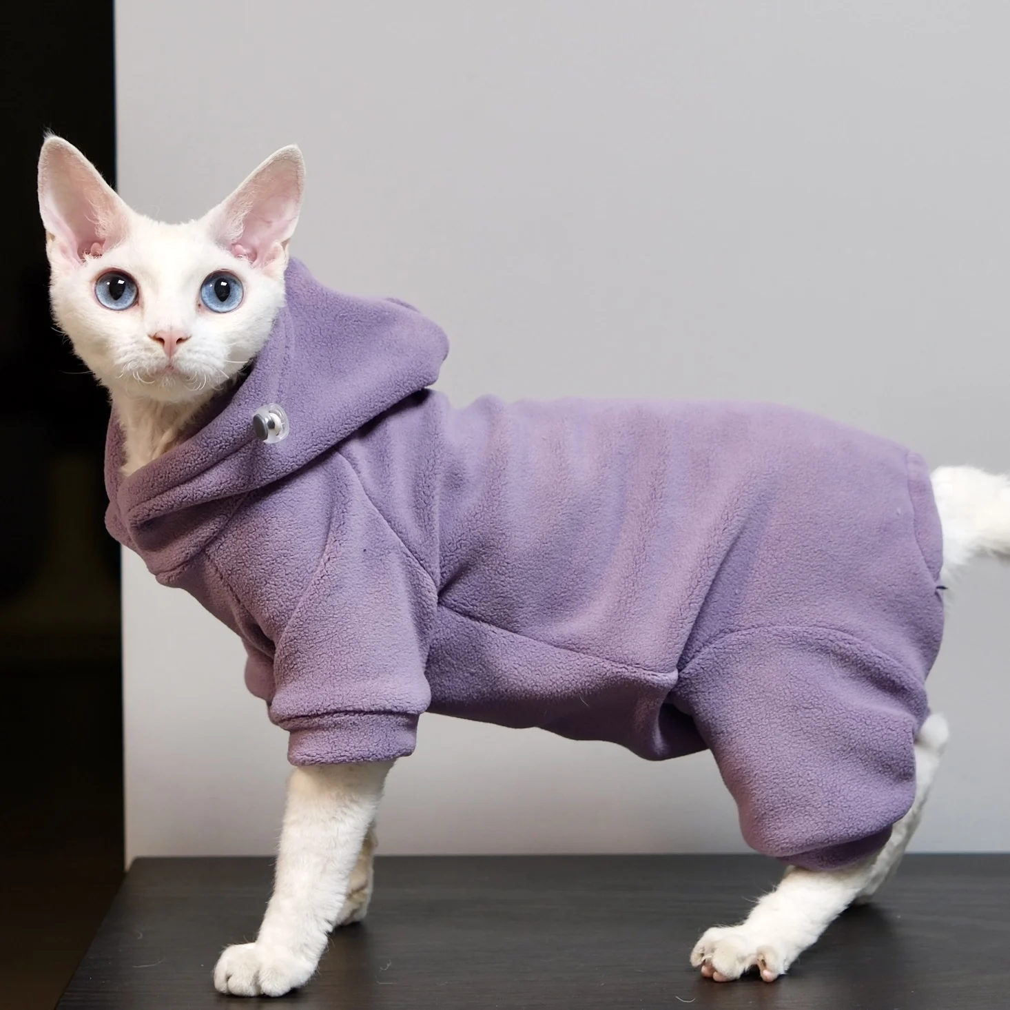 猫飼いが買ってよかったもの・悪かったもの正直に言う｜スフィンクス猫向け冬用パーカーの実測ガイド