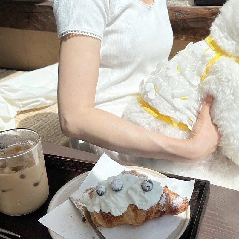 春夏立体蝶妖精空気サスペンダーペット服：通気性とデザインのバランスを実現