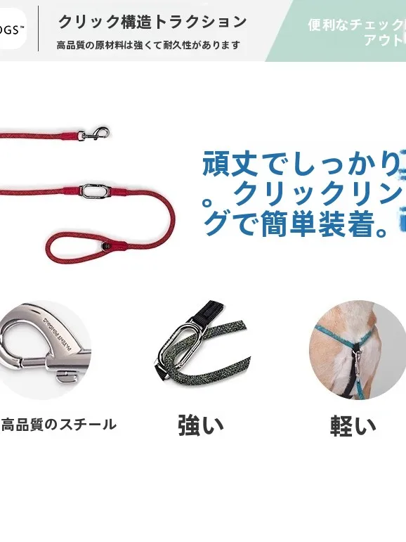 犬のお散歩グッズをコスパ良く揃える方法｜性格に合わせた選び方の完全ガイド