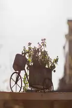 アイアン製 自転車型花瓶【レトロスタイル・多肉植物用・庭やバルコニーの装飾】