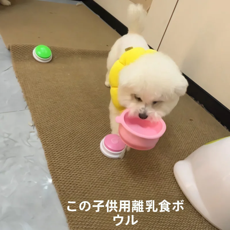 ベビー食器 ひっくり返らない おすすめモデル：シリコン製スローフードボウルの防倒れ設計と実用性