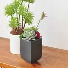 リアルな多肉植物の鉢 陶器鉢 装飾品 植物の置物