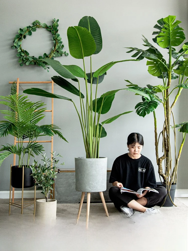 韓国インテリアを再現｜カフェ風部屋の作り方 - フェイクツリーの高さとデザインによる空間設計