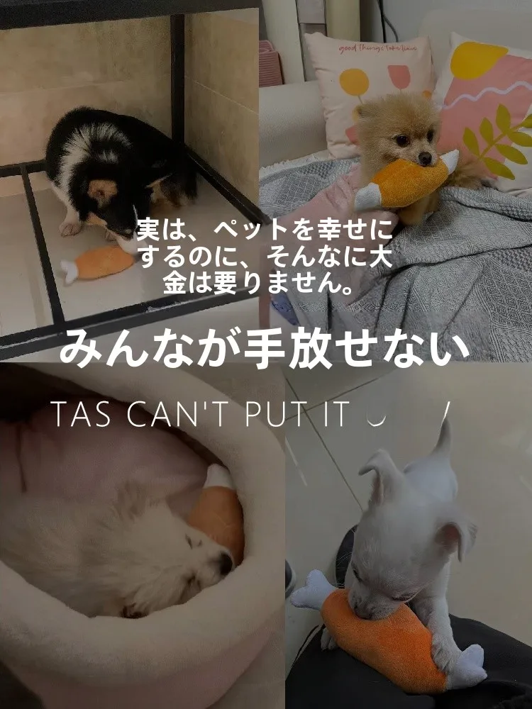 子供と暮らすとき、犬が噛むのは本当に安全なのか？