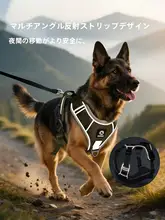 大型犬用 防爆型 ハーネス付きリード【中型犬・散歩用】