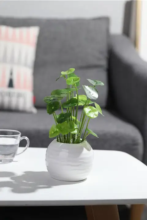 フェイクグリーン 装飾品 リビング ダイニングデスク オフィスデスク 小さな鉢植え インテリア