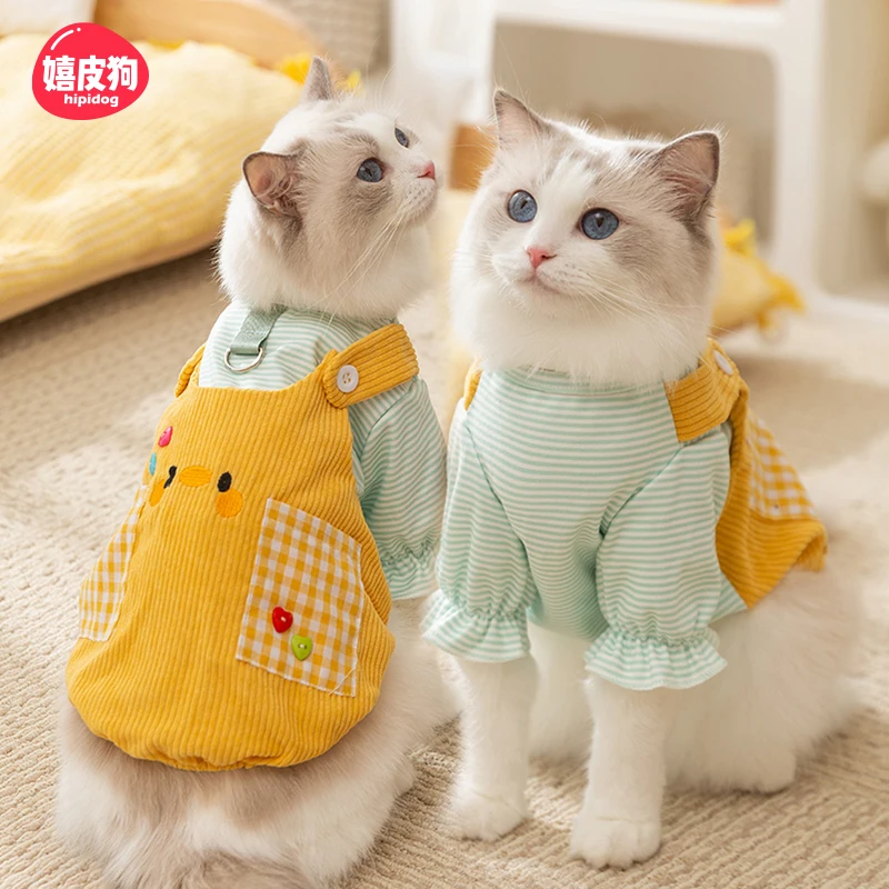 猫のグッズショップで何を選ぶべき？厳選3選の選び方と実際の生活シーンで使えるアイテム