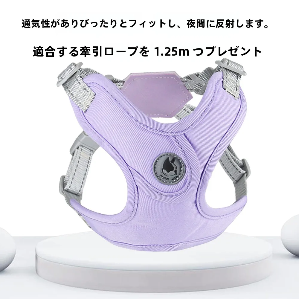 犬のお散歩グッズをコスパ良く揃える方法　完全ガイド