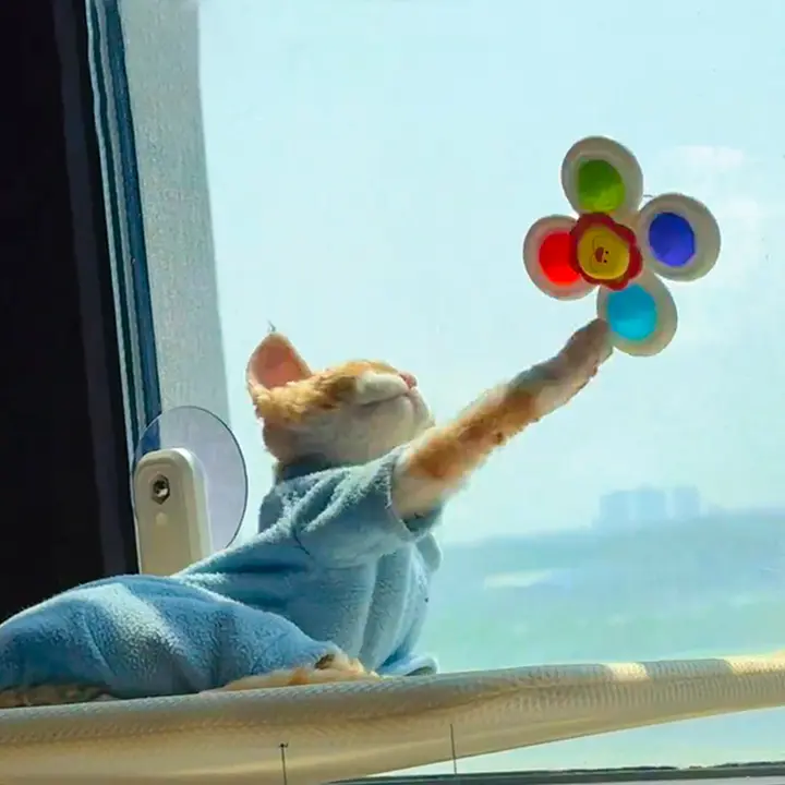猫用吸盤タイプのおもちゃ【猫と犬用・体力消耗・解消に最適】