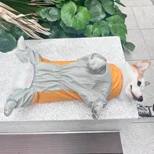ペット用全身カバー イヌ用レインコート【コーギー・中小型犬用】