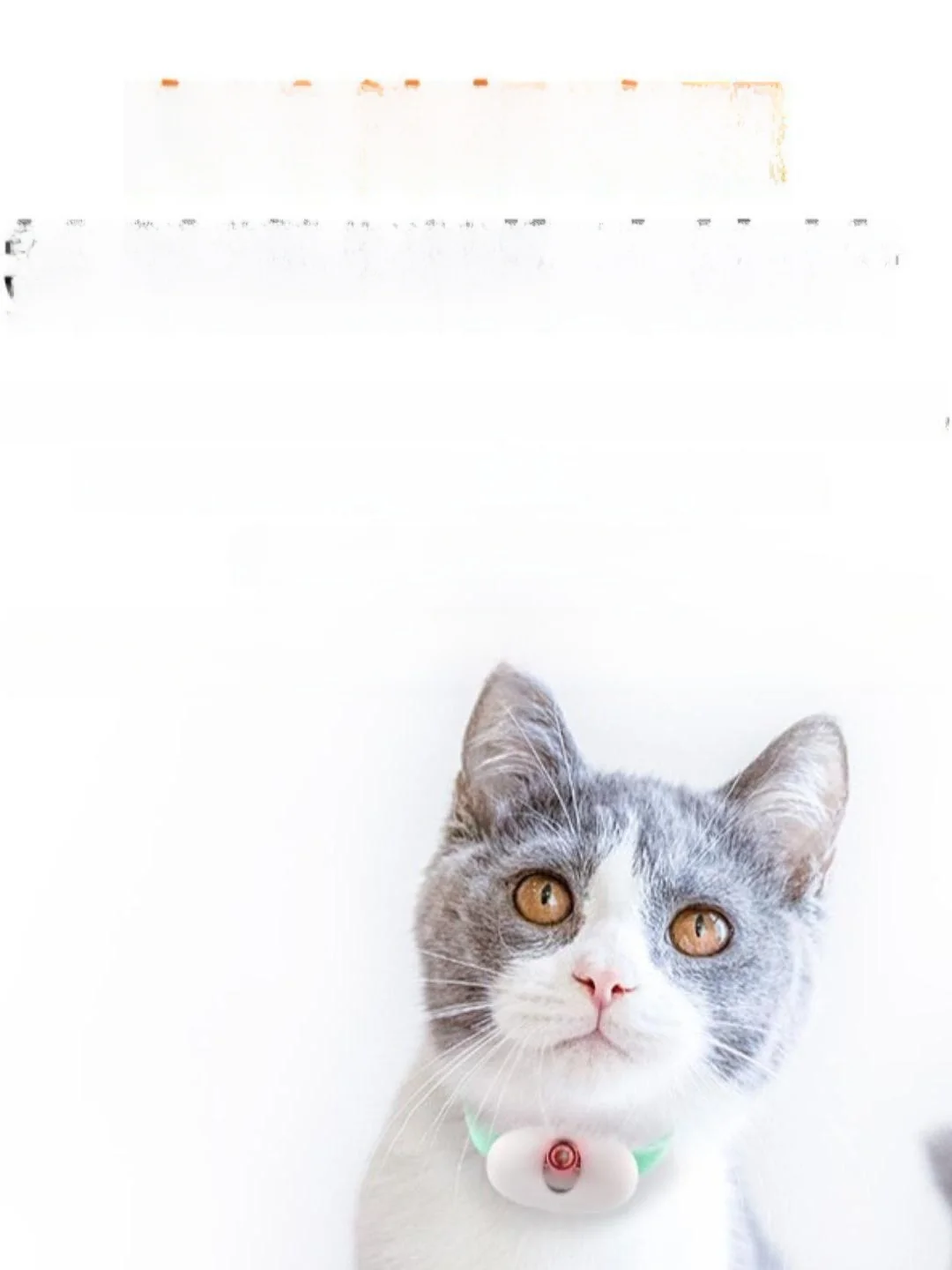 ペット用レーザーおもちゃ：スマートレーザーポインターが猫の自動遊びを実現