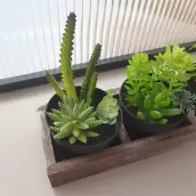 リアルな多肉植物の木製ボックス飾り【デスクトップ用・インテリア装飾・癒しのグリーン】（セットアップ対応）