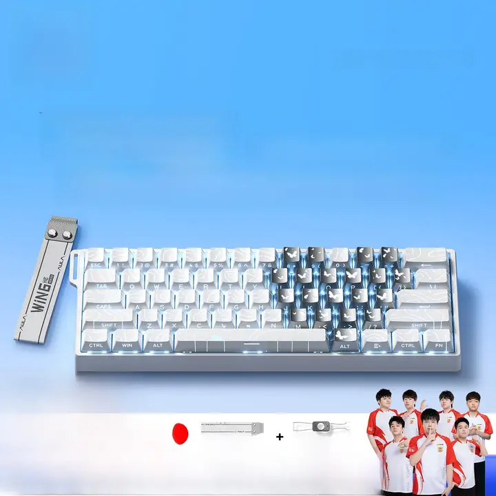 有線メカニカルゲーミングキーボード【タマイズ可能・磁気軸・デスクトップ用】