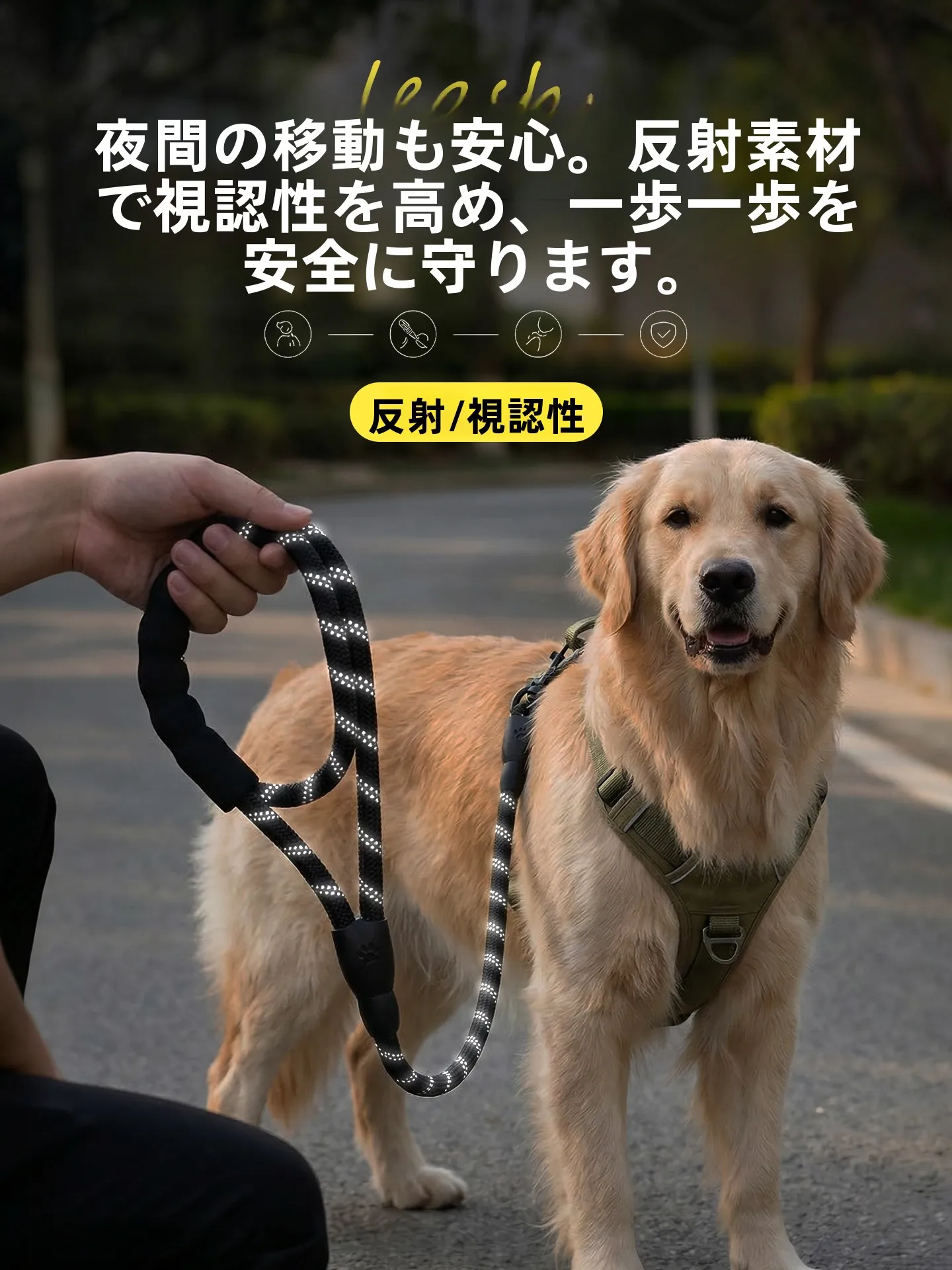 犬用リード【小型犬用・散歩用・しっかりとした作り】の特徴と選び方