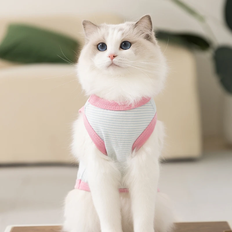 猫飼いが買ってよかったもの・悪かったもの正直に言う | 軽量かつ抜け毛防止の夏用全棉ベスト