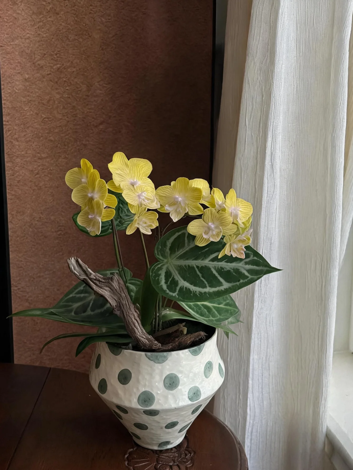 景德镇製陶器 蝶蘭の花鉢：ワンルームで活用できる中式復古デザインの観葉植物用花器