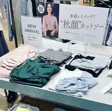 優雅なデザインのバタフライスリーブシャツ【ボートネック・ツインファブリック・万能コーディネート】