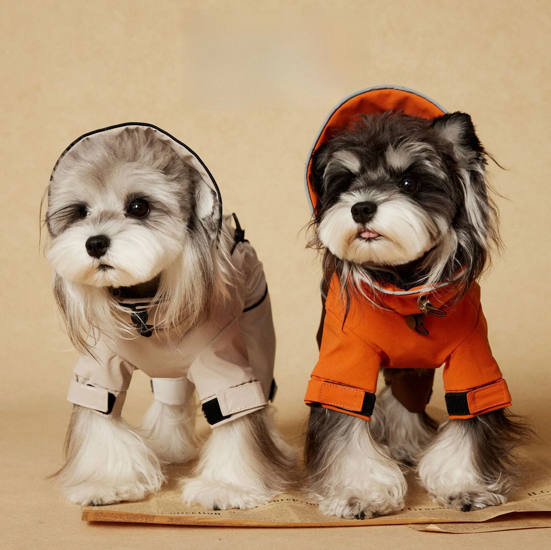 中型犬 レインコート：TawneyBear マウンテンパーカー 四脚タイプの実用性とサイズガイド