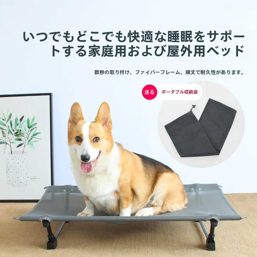 大型犬用通気性高床ベッド：インドア・アウトドア両用メッシュタイプの実用性と選定基準
