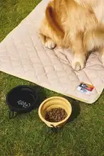 PLAYLOGIC ペット用フードボウル【猫犬兼用・大容量・スローフィード・屋外用】