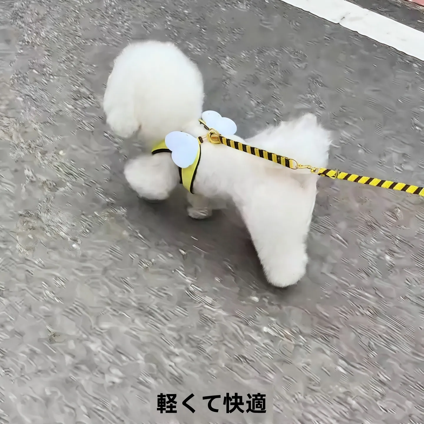 可愛いハチデザインの中小型犬用ハーネス：胸掛けスタイルで安全かつ快適な散歩を実現