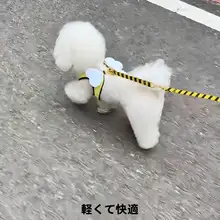 可愛いハチデザインの中小型犬用ハーネス【高品質・胸掛けスタイル・ペット用】
（セットアップ対応）