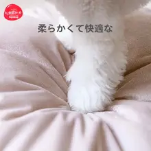 洗えるハウス型ペットケージ【室内用・中小型犬猫向け・広々としたデザイン】