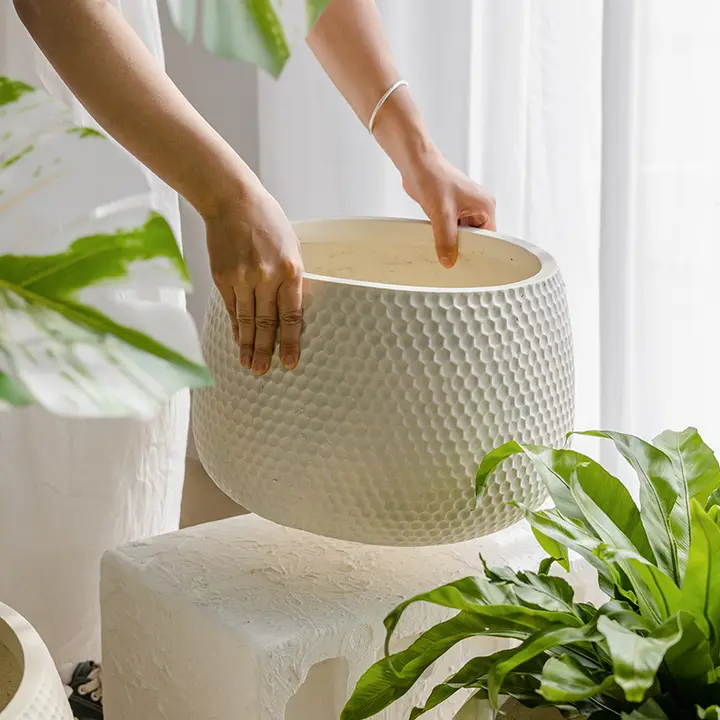 北欧風のグリーンインテリア！シンプルなデザインの観葉植物用花鉢【モンステラ・サンセベリア・バirdオブパラダイス対応】