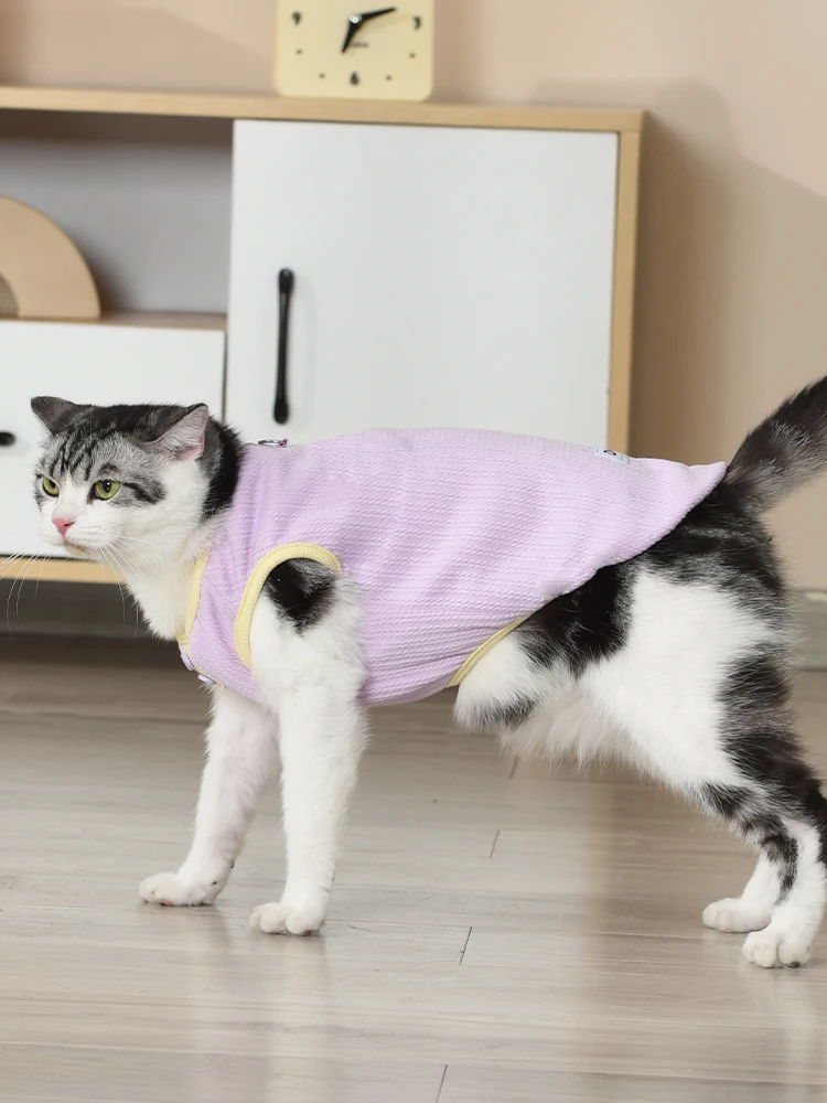 猫飼いが買ってよかったもの・悪かったもの正直に言う | 秋冬用猫用防脱毛ニットセーターの実際の効果