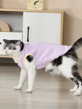 秋冬用 猫用防脱毛ニットセーター【英短銀グラデーション・暖かい・リード付き】