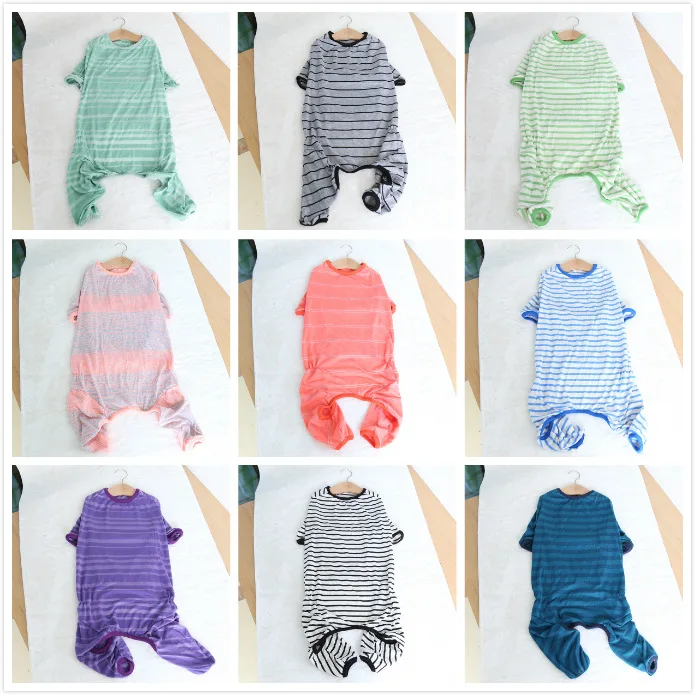 梅雨に備えて買うべき！大型犬用ペット服の選び方完全ガイド
