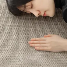 カーペット リビング 2024年新作 ラグジュアリー 高級 シンプルな無地 撥水 洗える テーブル用 家庭用ラグ