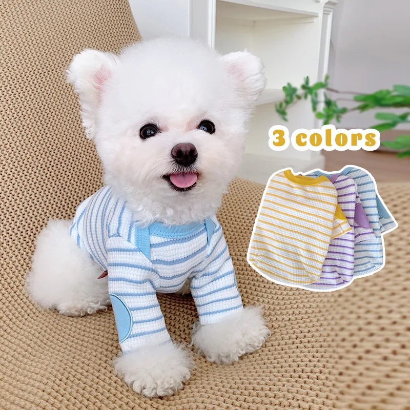 犬のお散歩グッズをコスパ良く揃える方法　完全ガイド