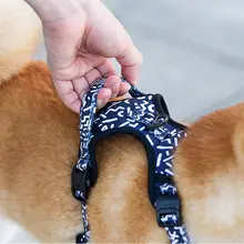 小型犬用ハーネスリード【防爆設計・柴犬・ゴールデンレトリバー対応】