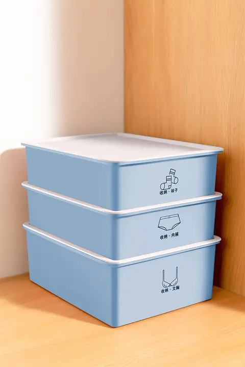 収納ボックス 下着 パンツ ソックス 整理 引き出し式 プラスチックボックス 仕切り