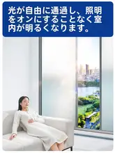 プライバシー保護ガラスフィルム【防視線・透光性・バスルーム用・マット仕上げ】