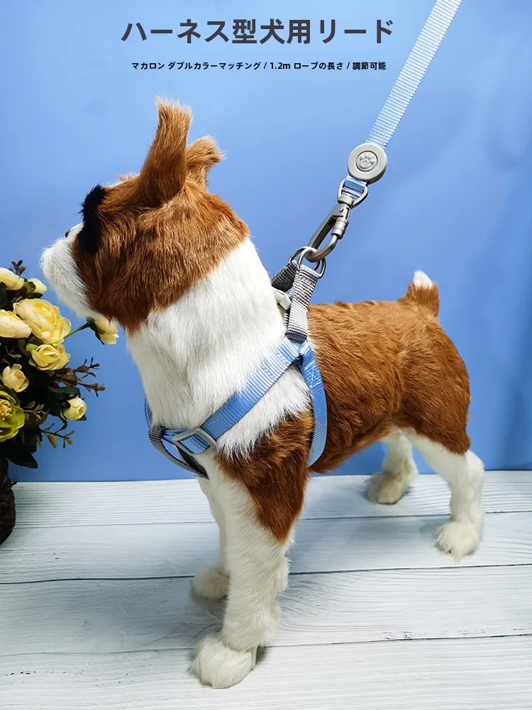 犬のお散歩グッズをコスパ良く揃える方法｜調節可能なハーネスリードの選び方徹底解説