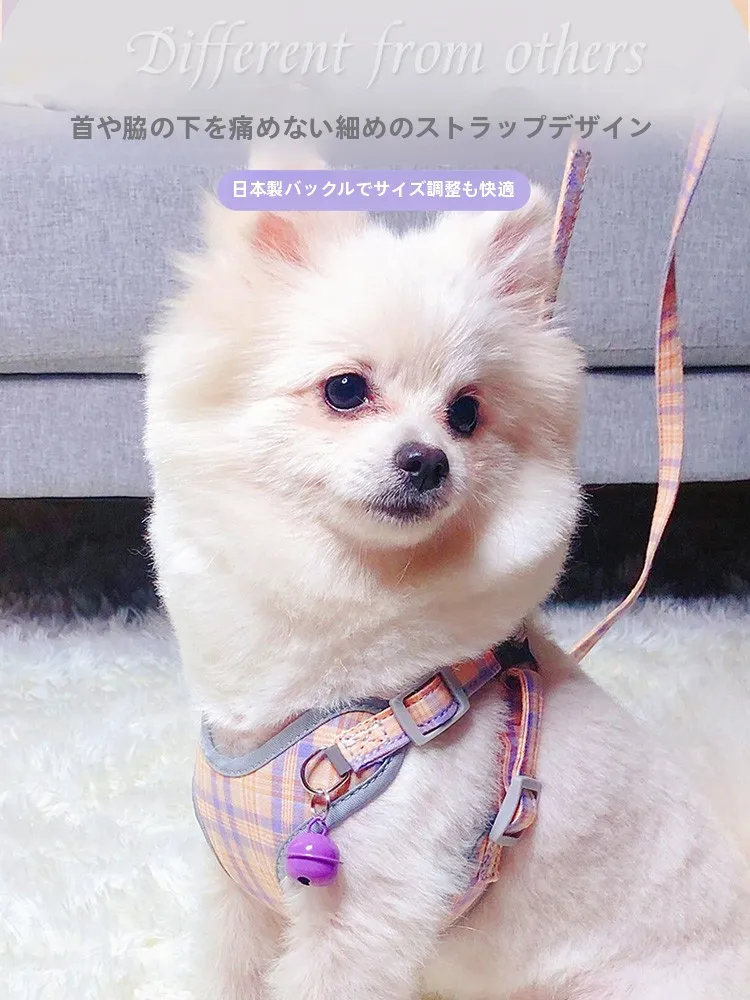 犬のお散歩グッズをコスパ良く揃える方法｜ハーネス型リードの実測ガイド